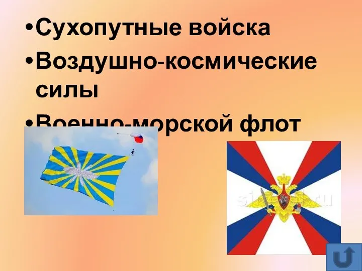 Сухопутные войска Воздушно-космические силы Военно-морской флот