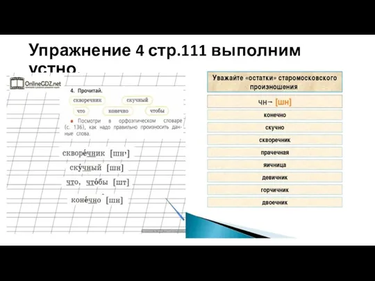 Упражнение 4 стр.111 выполним устно.