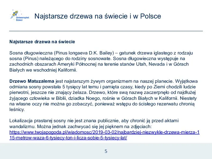 Najstarsze drzewa na świecie i w Polsce 5 Najstarsze drzewa na świecie