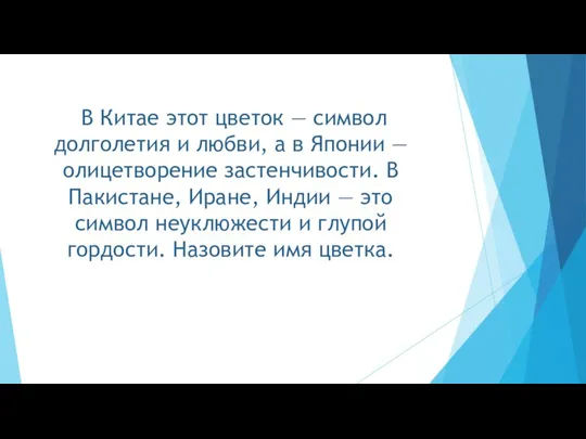 В Китае этот цветок — символ долголетия и любви, а в Японии