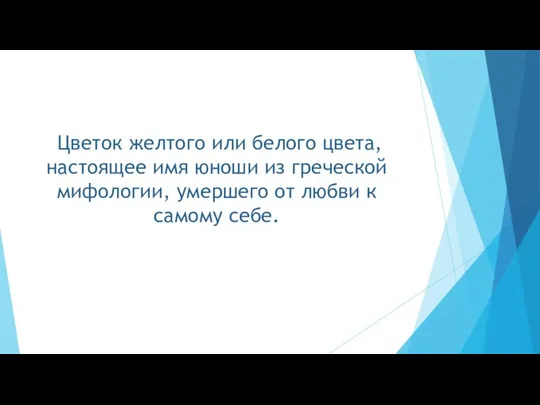 Цветок желтого или белого цвета, настоящее имя юноши из греческой мифологии, умершего