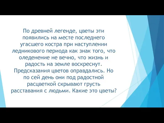 По древней легенде, цветы эти появились на месте последнего угасшего костра при