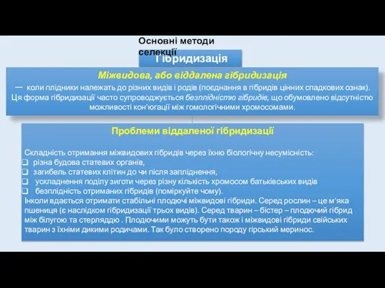 Гібридизація Міжвидова, або віддалена гібридизація — коли плідники належать до різних видів