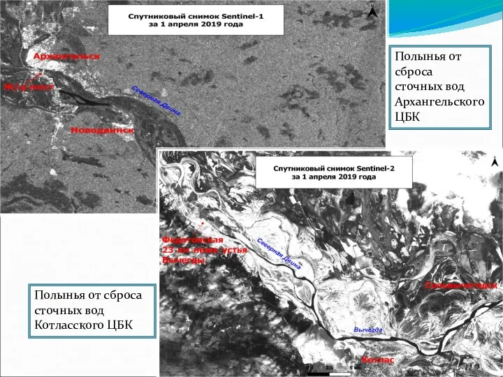 Полынья от сброса сточных вод Архангельского ЦБК Полынья от сброса сточных вод Котласского ЦБК