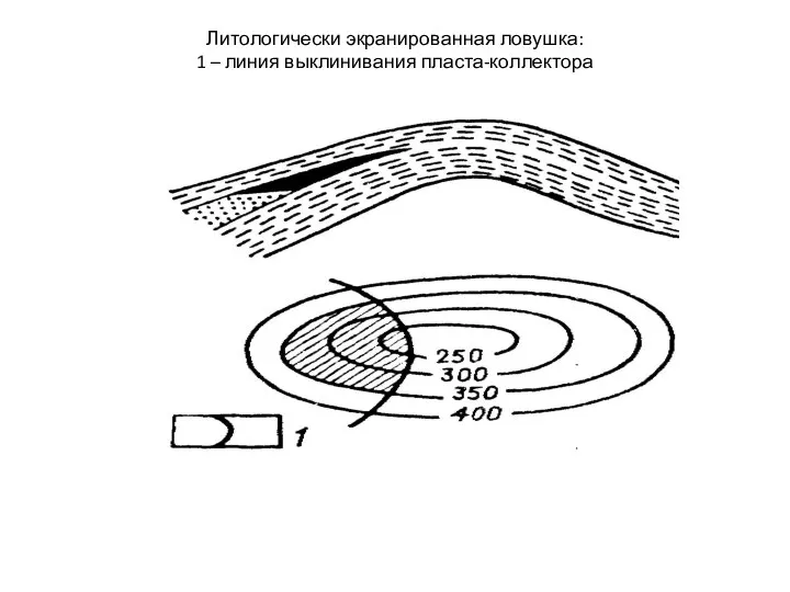 Литологически экранированная ловушка: 1 – линия выклинивания пласта-коллектора