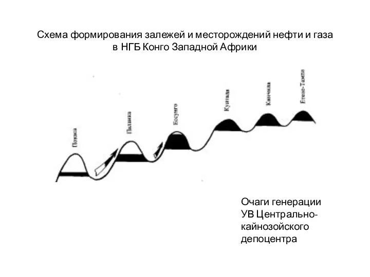 Схема формирования залежей и месторождений нефти и газа в НГБ Конго Западной