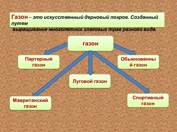 Газон – это искусственный дерновый покров. Созданный путем выращивания многолетних злаковых трав