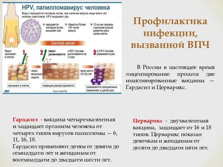 Профилактика инфекции, вызванной ВПЧ В России в настоящее время лицензирование прошли две