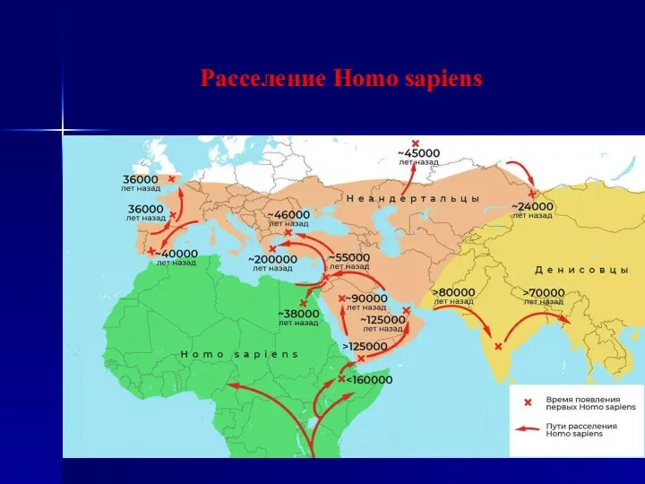 Расселение Homo sapiens