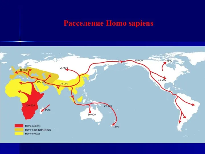 Расселение Homo sapiens