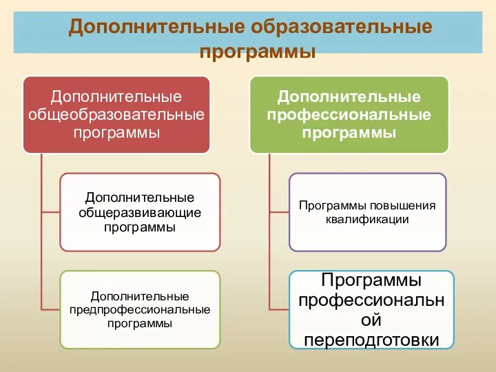 Дополнительные образовательные программы