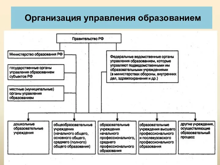 Организация управления образованием