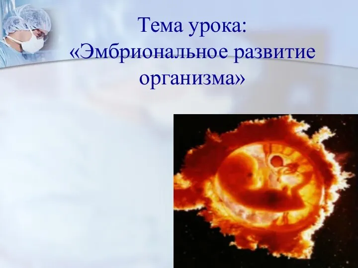 Тема урока: «Эмбриональное развитие организма»