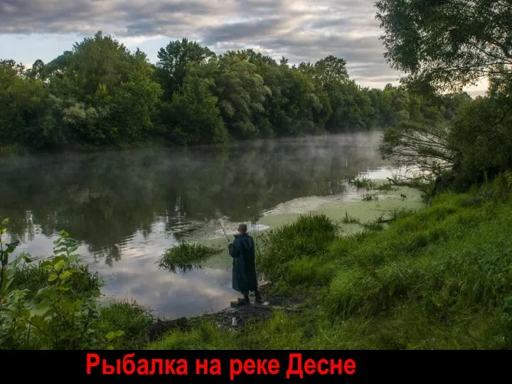 Рыбалка на реке Десне