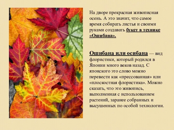 На дворе прекрасная живописная осень. А это значит, что самое время собирать