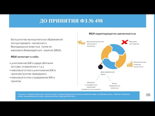 Большинство муниципальных образований контролировало численность безнадзорных животных путем их массового безвозвратного изъятия