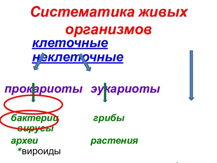 Систематика живых организмов клеточные неклеточные прокариоты эукариоты бактерии грибы вирусы археи растения *вироиды животные *прионы протисты