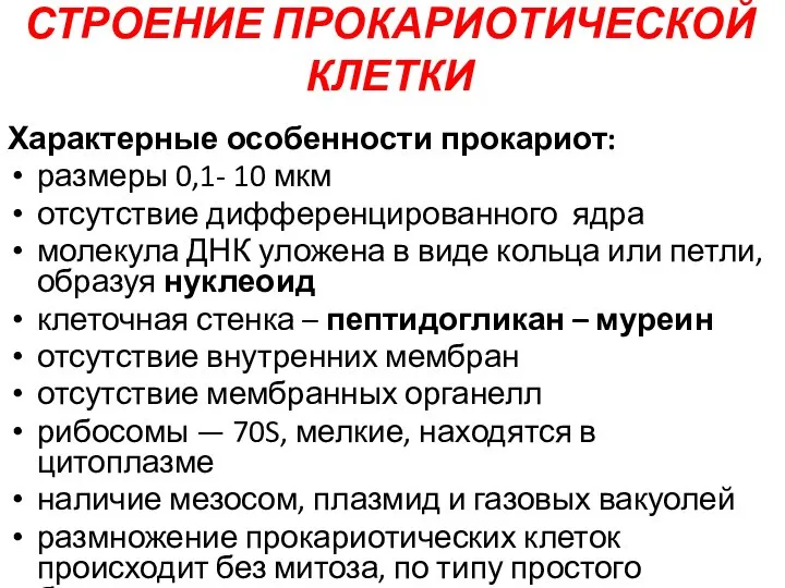 СТРОЕНИЕ ПРОКАРИОТИЧЕСКОЙ КЛЕТКИ Характерные особенности прокариот: размеры 0,1- 10 мкм отсутствие дифференцированного