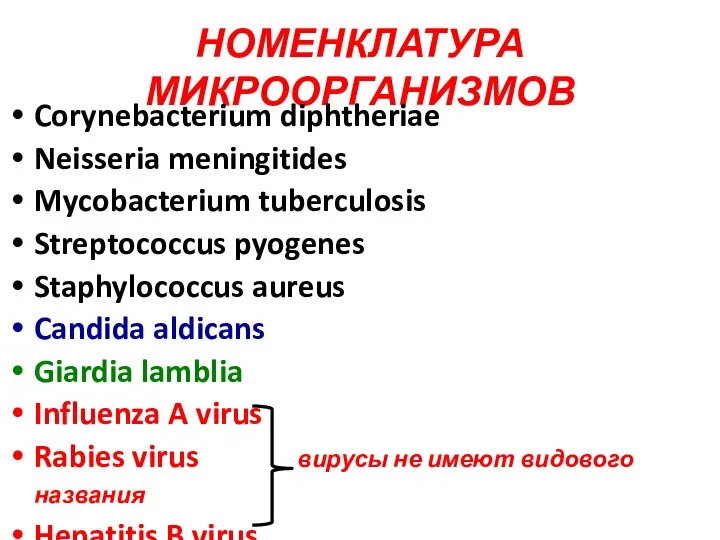 НОМЕНКЛАТУРА МИКРООРГАНИЗМОВ Corynebacterium diphtheriae Neisseria meningitides Mycobacterium tuberculosis Streptococcus pyogenes Staphylococcus aureus