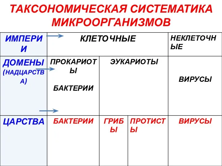 ТАКСОНОМИЧЕСКАЯ СИСТЕМАТИКА МИКРООРГАНИЗМОВ