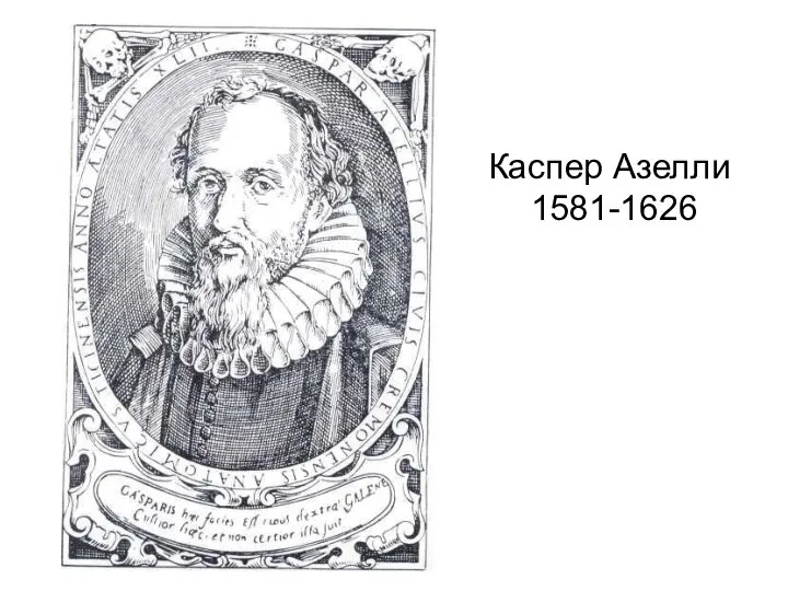 Каспер Азелли 1581-1626