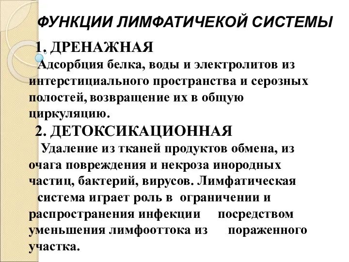 1. ДРЕНАЖНАЯ Адсорбция белка, воды и электролитов из интерстициального пространства и серозных