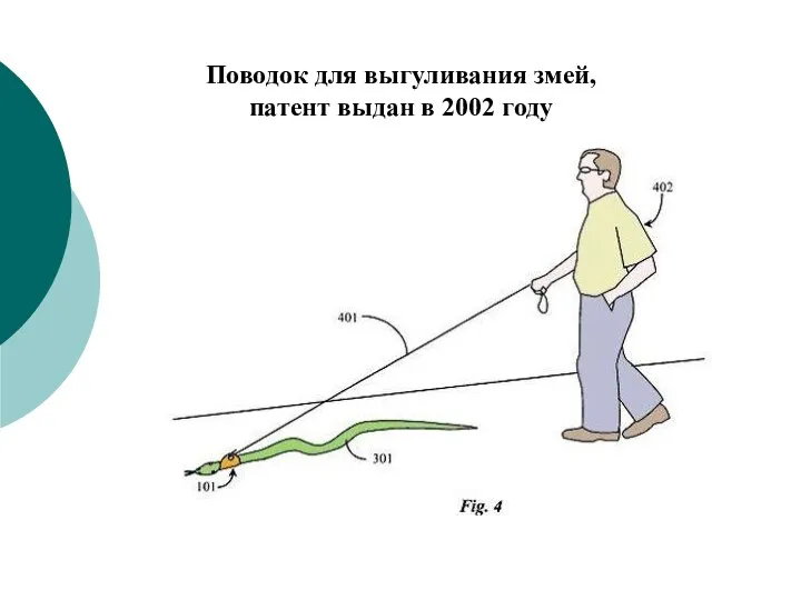 Поводок для выгуливания змей, патент выдан в 2002 году