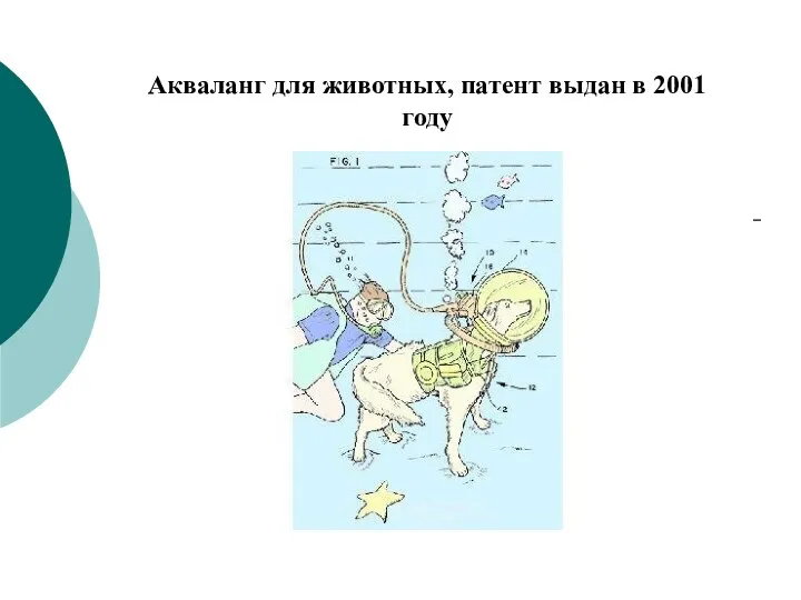 Акваланг для животных, патент выдан в 2001 году