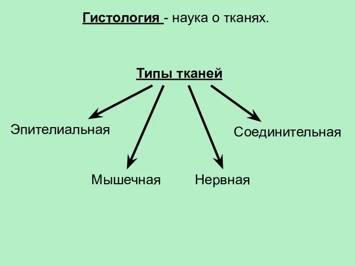 Гистология - наука о тканях. Типы тканей Эпителиальная Мышечная Соединительная Нервная