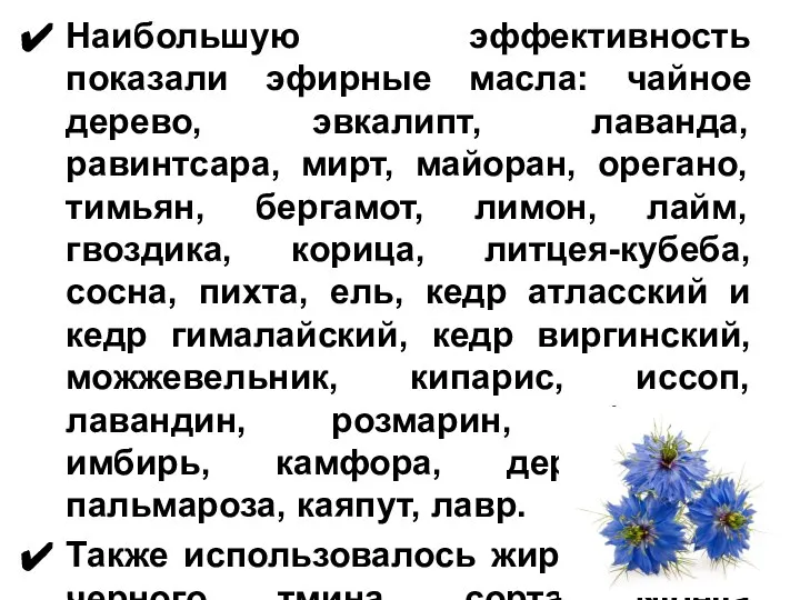 Наибольшую эффективность показали эфирные масла: чайное дерево, эвкалипт, лаванда, равинтсара, мирт, майоран,