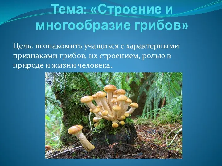 Тема: «Строение и многообразие грибов» Цель: познакомить учащихся с характерными признаками грибов,
