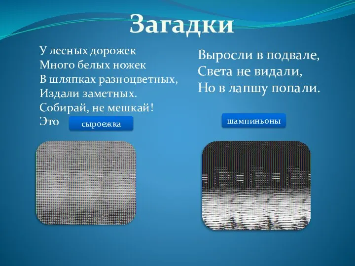 Загадки У лесных дорожек Много белых ножек В шляпках разноцветных, Издали заметных.