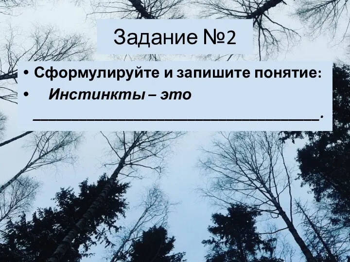 Задание №2 Сформулируйте и запишите понятие: Инстинкты – это _____________________________________.