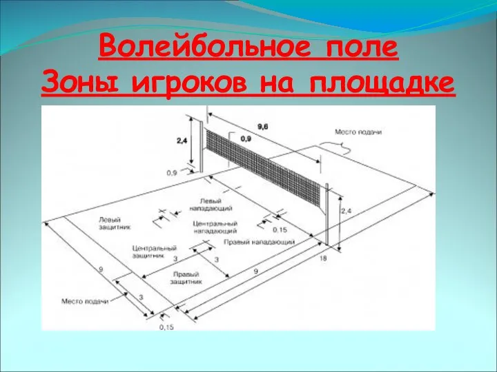 Волейбольное поле Зоны игроков на площадке