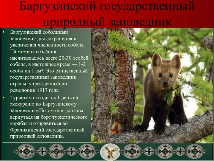 Баргузинский государственный природный заповедник Баргузинский соболиный заповедник для сохранения и увеличения численности