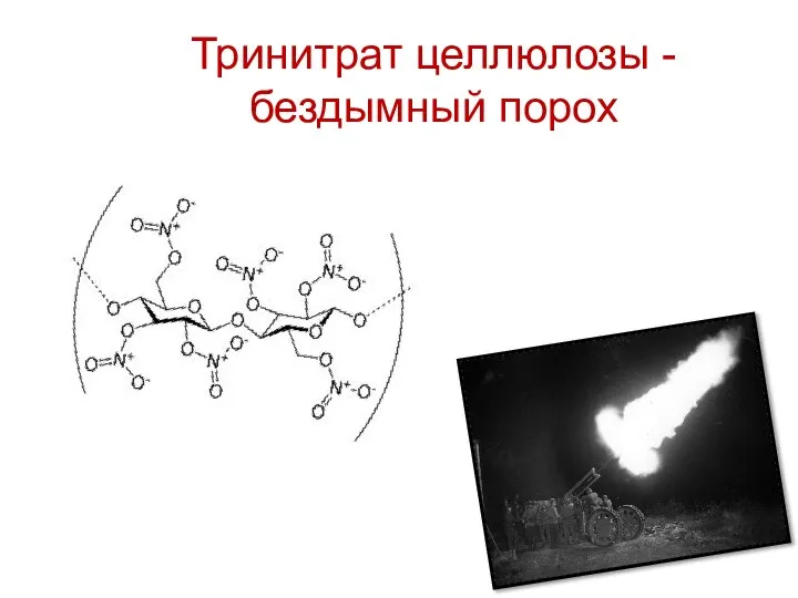 Тринитрат целлюлозы -бездымный порох