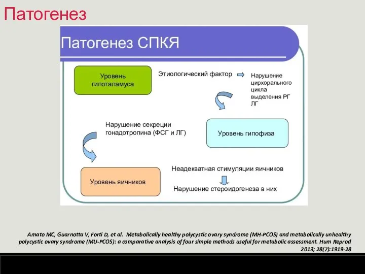 Патогенез Amato MC, Guarnotta V, Forti D, et al. Metabolically healthy polycystic