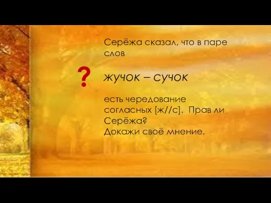 ? Серёжа сказал, что в паре слов жучок – сучок есть чередование