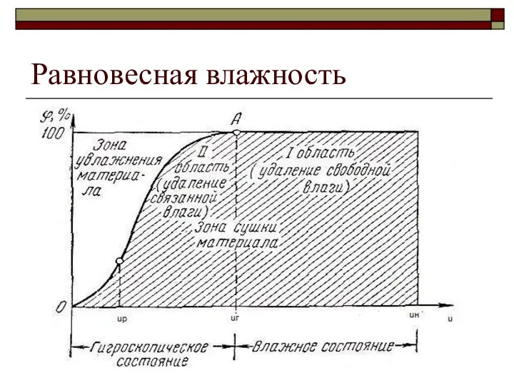 Равновесная влажность