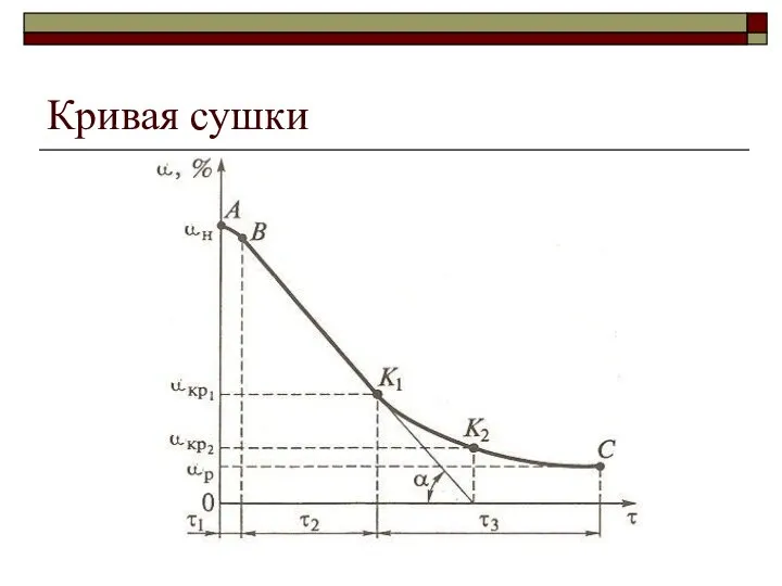 Кривая сушки