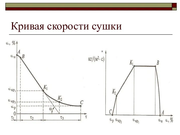 Кривая скорости сушки