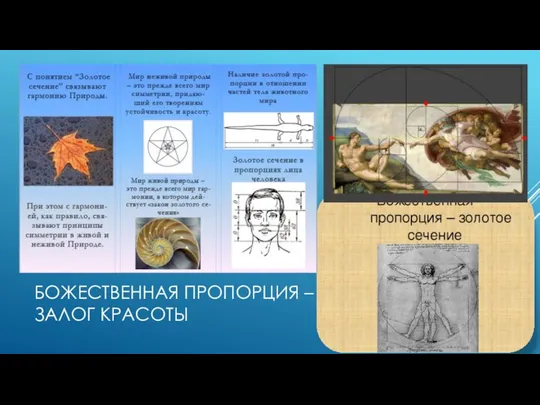 БОЖЕСТВЕННАЯ ПРОПОРЦИЯ – ЗАЛОГ КРАСОТЫ