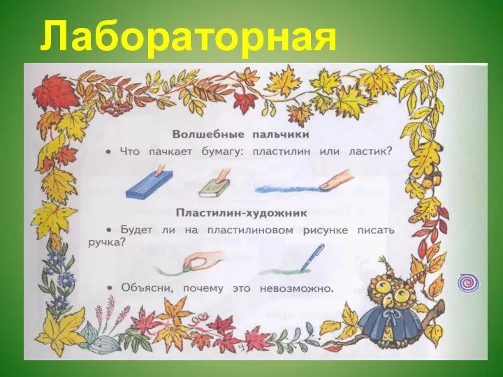 Лабораторная работа