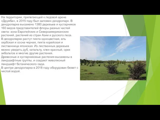 На территории, прилегающей к ледовой арене «Дружба», в 2015 году был заложен