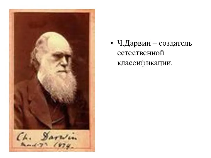 Ч.Дарвин – создатель естественной классификации.