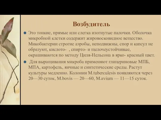 Возбудитель Это тонкие, прямые или слегка изогнутые палочки. Оболочка микробной клетки содержит