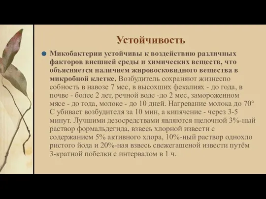 Устойчивость Микобактерии устойчивы к воздействию различных факторов внешней среды и химических веществ,