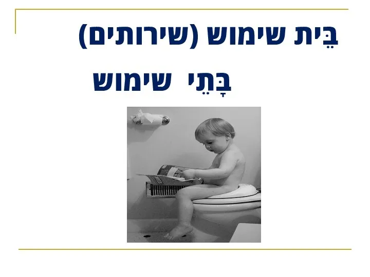 בֵּית שימוש (שירותים) בָּתֵי שימוש