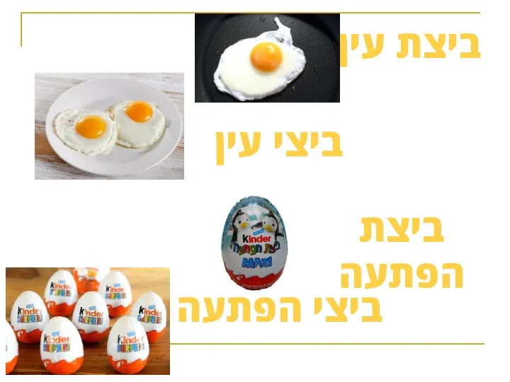 ביצת עין ביצי עין ביצת הפתעה ביצי הפתעה