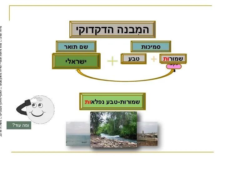 שם תואר נפלא מקסימים עתיק ישראלי המִבנה הדקדוקי צמח-בר ישראלי סמיכות מירה